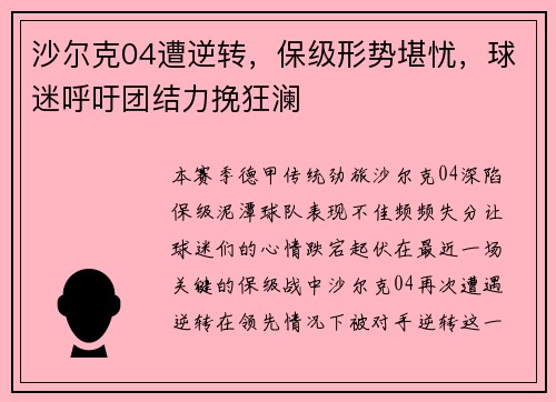 沙尔克04遭逆转，保级形势堪忧，球迷呼吁团结力挽狂澜
